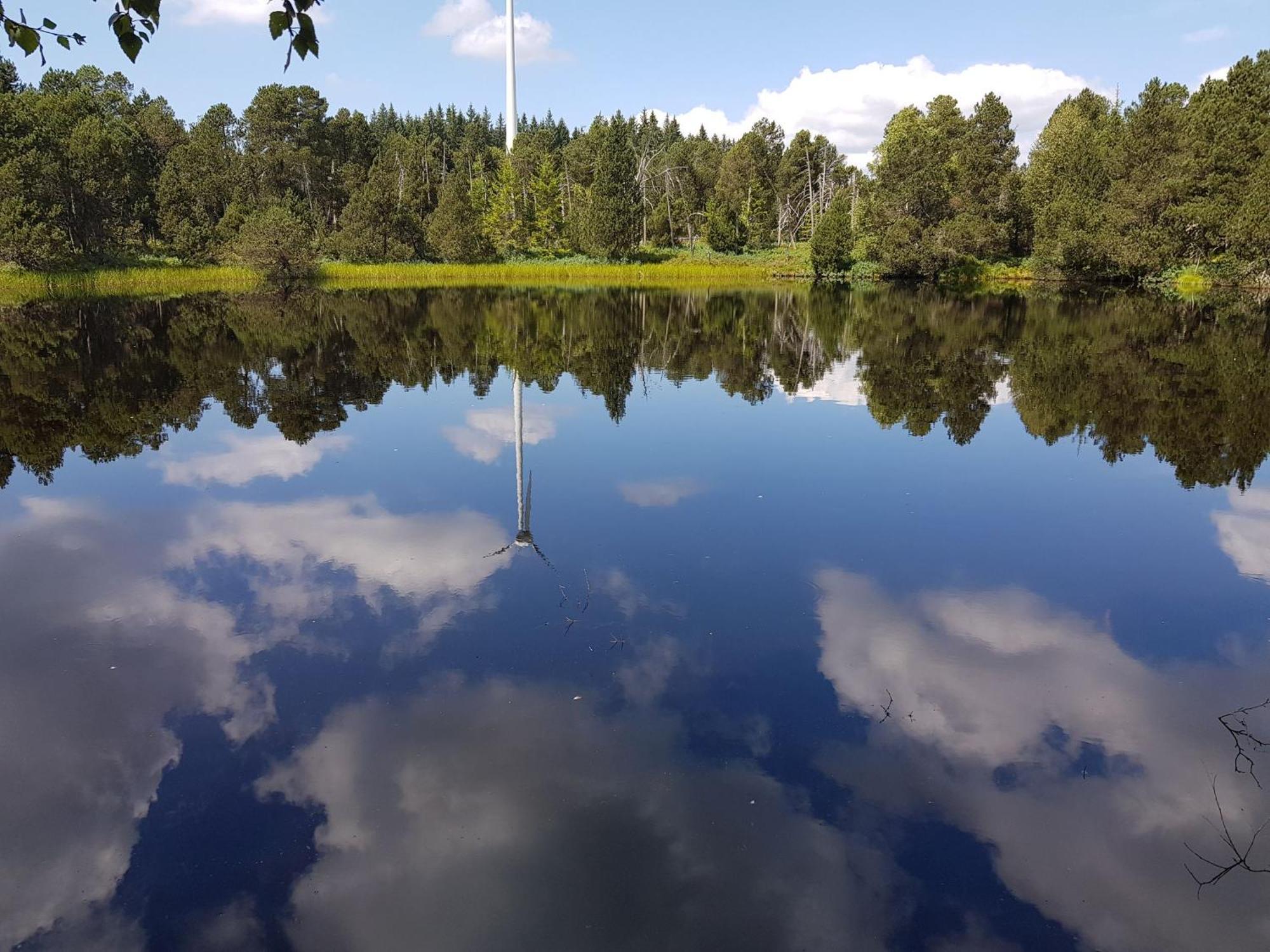 Ferienwohnungen Schoenwald ภายนอก รูปภาพ